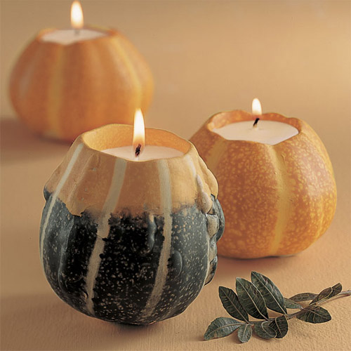 �f(w��n)ʥ���Ɍ�����ȱ�ٵ���Ʒ