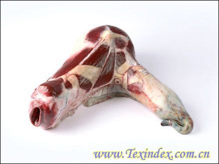 �i�����ļҾ���Ʒ�������