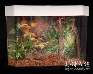 ���B�~(y��)���RͰ�lԡ����Ȥ