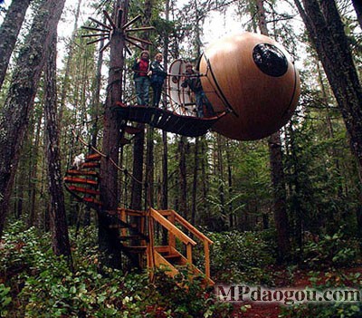 ������˼��(chu��ng  )�����w�Ƅ�(d��ng)����