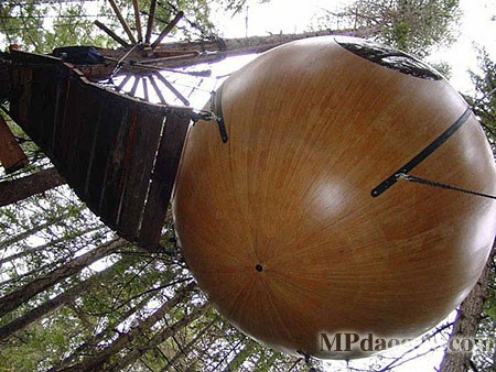 ������˼��(chu��ng  )�����w�Ƅ�(d��ng)����