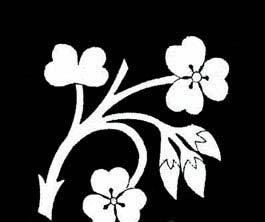 ����;�DIY��Ů���������