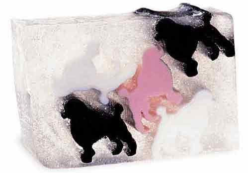 �ɐ�(��i)�����⣺���������������