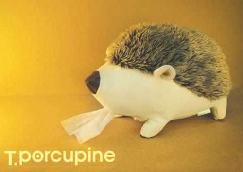 ���漈�����ӵğo(w��)�ބ�(chu��ng  )��