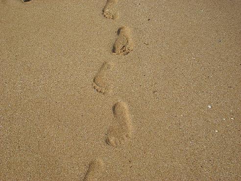 ʩ�����������΄�(chu��ng  )�I(y��)�ɹ���