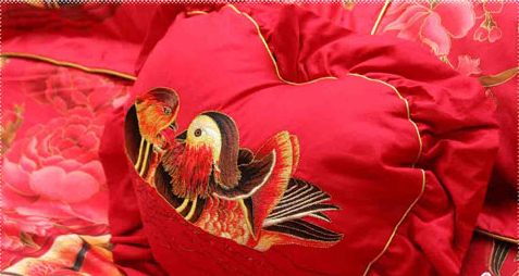 �����ȼҼ���Ş�I(l��ng)��Ⱥ��