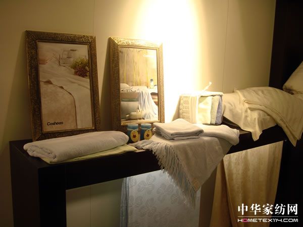 �����Ҽ����2009���m�˸�չ