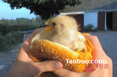 �gЦ�r(sh��)�����˹��������