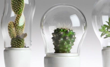 ������Ц����ѝ�ӵ�����