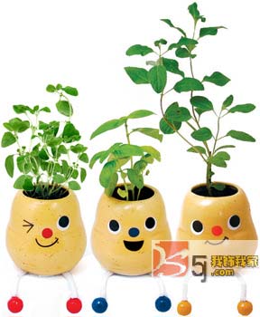 ��(chu��ng  )��N��С�Ʒ�o������c(di��n)�ϣ�һ��