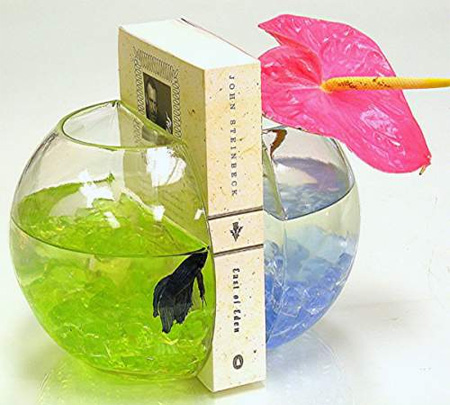 ����Ȥ��(chu��ng  )���(sh��)�ܴ󼯺�