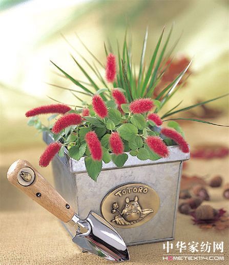 �m�����(d��ng)��(hu��)���辰