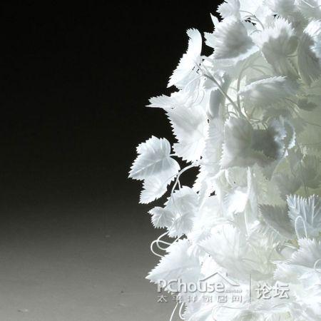 ���׵Ę�(sh��)�~�����Є�(chu��ng  )�⵫�ܹª�