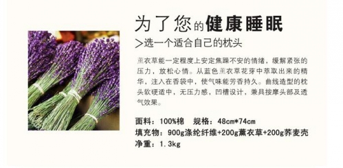 ���_�m���á�о����(l��i)��(��i)�����o����