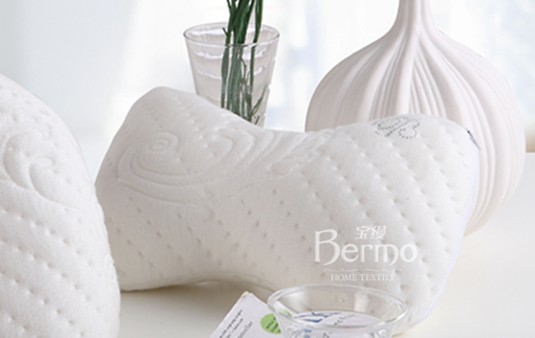 ���z�Ҽ���ʮһ������������