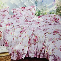 ��������(m��ng)��FMAT005-4��