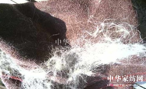 �t��ʿ�Ҽ��|(zh��)���T(m��n)�������