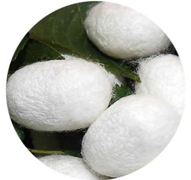 3��15����Ҽ����Є�(d��ng)�b�e�Q�z��