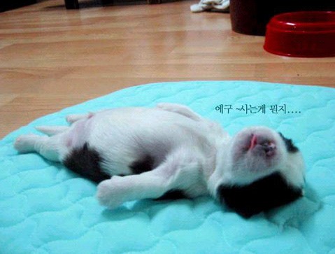 �H�������˯һС�r(sh��)����