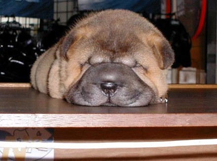 �H�������˯һС�r(sh��)����