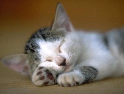 �H�������˯һС�r(sh��)����