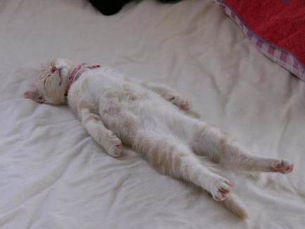 �H�������˯һС�r(sh��)����