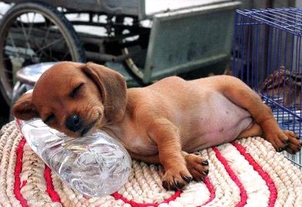 �H�������˯һС�r(sh��)����