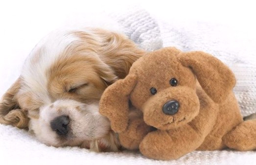 �H�������˯һС�r(sh��)����