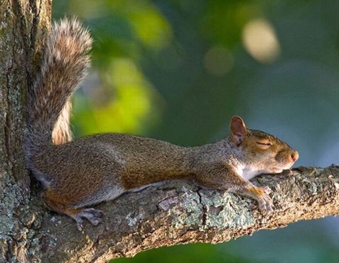 �H�������˯һС�r(sh��)����