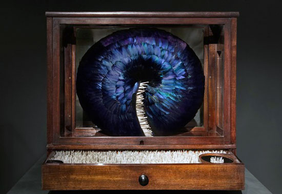 ��(chu��ng  )�����}����(d��ng)ϵ����ë����