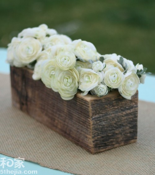 �ؚw��Ȼ ��(sh��)ľ���͵��b���(��)