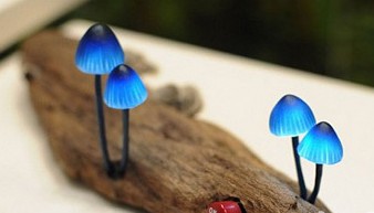 ��(chu��ng  )��LED����(sh��)���ϵ�СĢ��