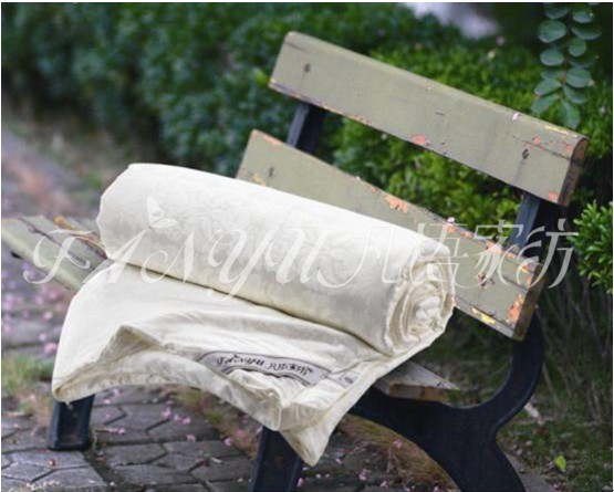 ���Z(y��)�Ҽ������x�桰о