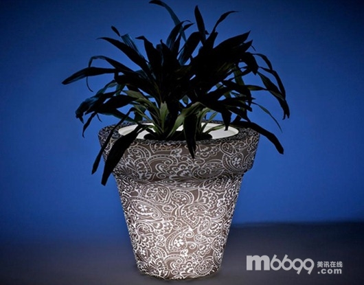 Rotoluxe���������OӋ