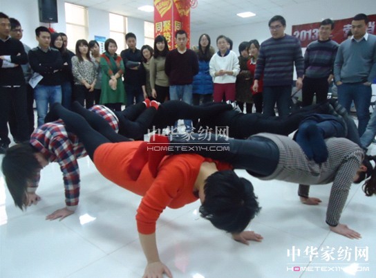 2013���z����Ӗ�������_(k��i)��