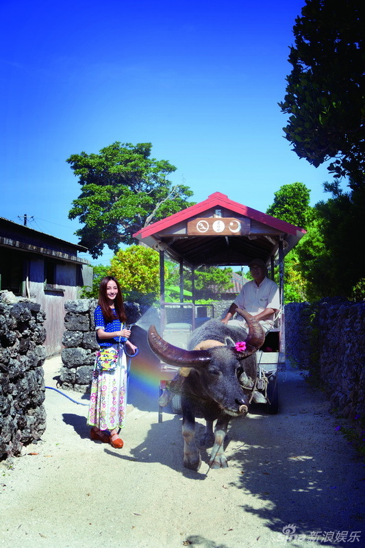 Ҧ���������Ό�(xi��)�� ጷſ옷(l�� )��w