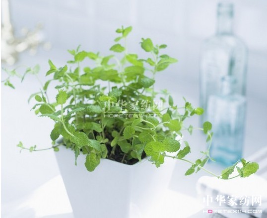 ���_�mС�Nʿ  ���ȥ���҃��^(gu��)��Դ