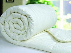 �������ُ�I(m��i)�ޱ���