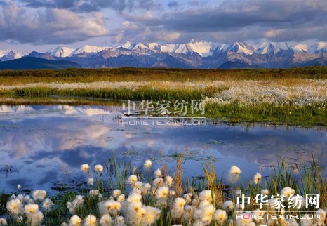 �W�ɼҼ�����ِ�z�����湦��