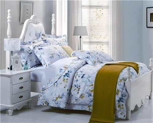 ���Ő�(��i)��ʥ���R