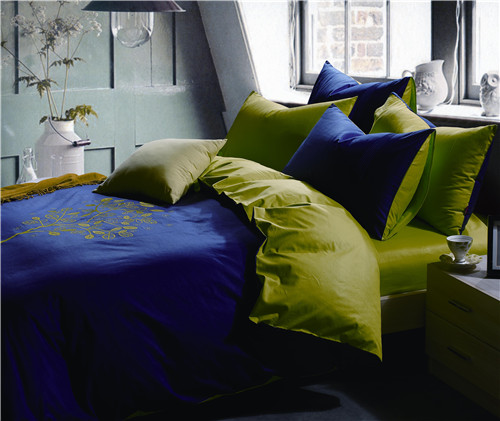 ���Ő�(��i)��ʥ���R