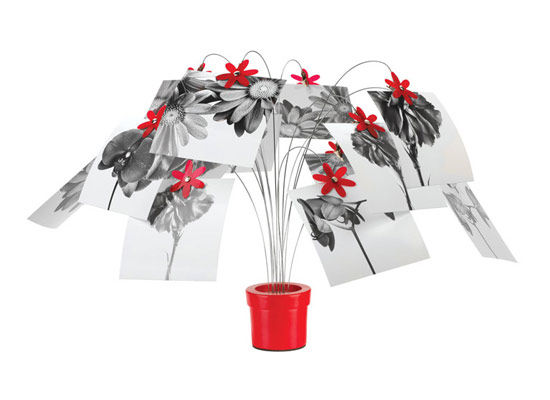 ��(chu��ng  )�⻨�ͼ�Ʒ������|(zh��)��������