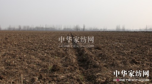 ���ýz�I�f(w��n)�����B(t��i)ɣ�@�ƌW(xu��)��ɣ