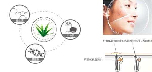 �{Ʒ�Ƽ�������Ȼ���B������