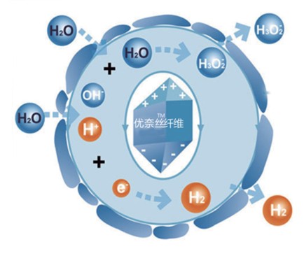 �{Ʒ�Ƽ���(y��u)�νz��Ů�ԼҼ����o����