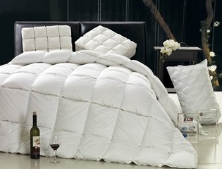 2014���Ї���q�Ј�(ch��ng)��ӑ��(hu�� )���F�����_(k��i)