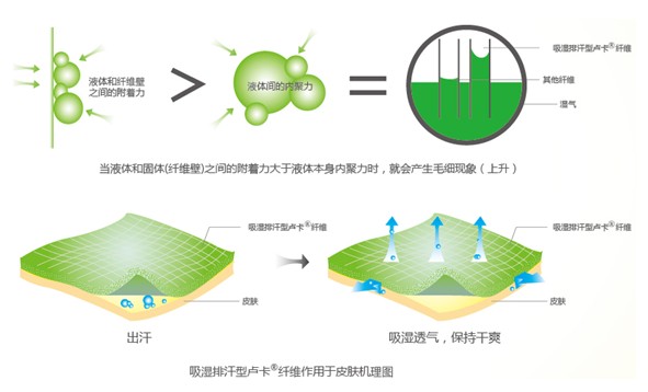 �{Ʒ����R���w�S����ˬ˯�߲��ǉ�(m��ng)��