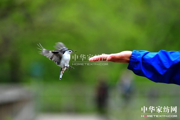 ��ُ��Ϋ@��͵����θ���