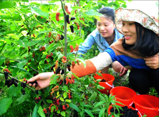 ���ýz�I�׌�ɣ�ز�ժ�������ء���ϲ��