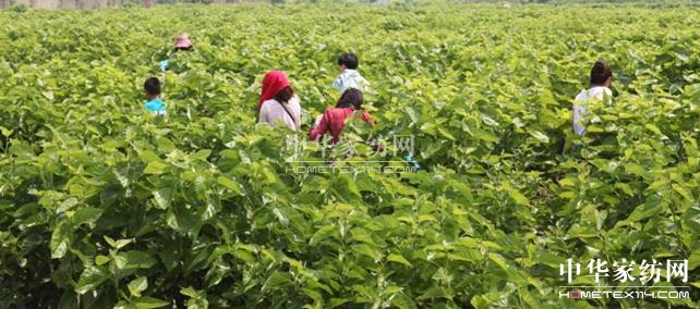 ���ýz�I�׌�ɣ�ز�ժ�������ء���ϲ��